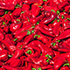 paprika for pepper paste