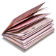 passport papers with clipping path
